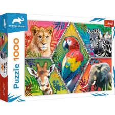 Trefl 10671 kirakós játék 1000 db Egyéb típusú (GXP-781375) puzzle, kirakós