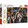 Trefl 15418 - Harry Potter és barátai 160 darabos puzzle (15418)