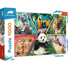 Trefl Animal Planet: Állati királyságok 1000 db-os puzzle – Trefl puzzle, kirakós