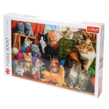 Trefl Macska találkozó 1000db-os puzzle - Trefl puzzle, kirakós