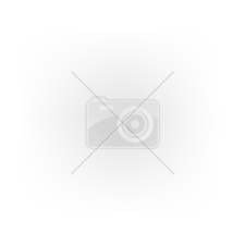 Triangle PL02 ( 255/45 R20 105V XL ) téli gumiabroncs