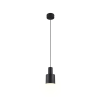 Trio AGUDO 319400132 függeszték, 1x10W E27