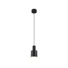 Trio AGUDO 319400132 függeszték, 1x10W E27 világítás