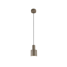 Trio AGUDO 319400141 függeszték, 1x10W E27 világítás