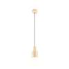 Trio AGUDO 319400144 függeszték, 1x10W E27