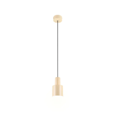 Trio AGUDO 319400144 függeszték, 1x10W E27 világítás