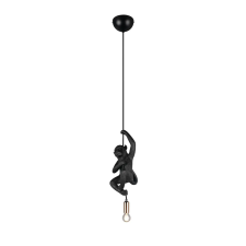 Trio FIPS R36551002 függeszték, 1x10W E14 világítás