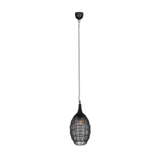 Trio SORAYA 365420132 függeszték, 1x10W E27 világítás