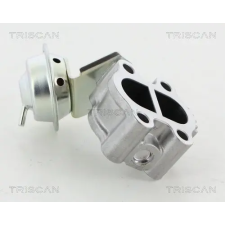 TRISCAN AGR-szelep TRISCAN 8813 13060 autóalkatrész