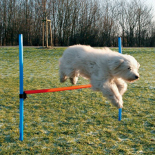 Trixie 3207 Dog Activity játék Agility akadály 123x115 cm játék kutyáknak