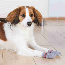  Trixie Kutyazokni Csúszásgátló talppal L-XL Szürke - Otthoni viselet sérült és idős kutyáknak kutyaruha