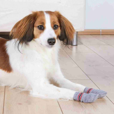  Trixie Kutyazokni Csúszásgátló talppal XS-S Szürke - Otthoni viselet sérült és idős kutyáknak kutyaruha