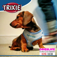  Trixie Puppy Soft Hám + Póráz Szett Light Mentol 26-34cm - Puha, szivaccsal bélelt kellemes tapintású hám nyakörv, póráz, hám kutyáknak