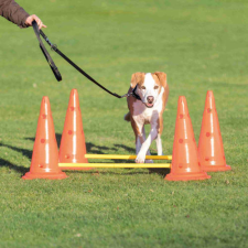 Trixie Sporting Obstacle Set - agility akadály (ugró akadály) kutyák részére (Ø30cm x 50/100cm) játék kutyáknak