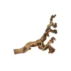Trixie Szőlőtőke gyökerei 5 db homokfúvott 40-60 cm