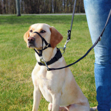 Trixie Top Trainer Training kutyahám (L-XL; 37 cm; Nyakszíj: 48-60 cm) nyakörv, póráz, hám kutyáknak