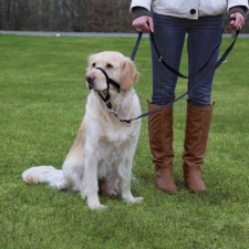 Trixie Trixie Hám Top Trainer L 31cm,fekete nyakörv, póráz, hám kutyáknak