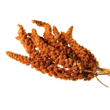  TRÓPUS fürtös vörös köles 60 g 641046 madáreledel