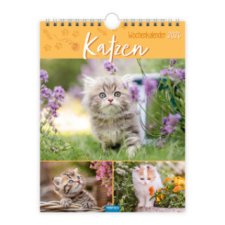  Trötsch Wochenkalender zum Hängen Katzen 2026 naptár, kalendárium