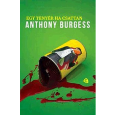 Trubadúr Kiadó Egy tenyér ha csattan regény