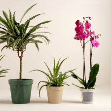 TRUPER Glettvas 280X127Mm Llp-6L Truper kőműves és burkoló szerszám