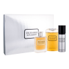 Trussardi Riflesso eau de toilette for men 100 ml ajándék szett