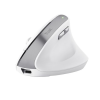 Trust Bayo II Ergonomic Wireless Mouse White 25398