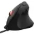Trust GXT 144 Rexx (22991)