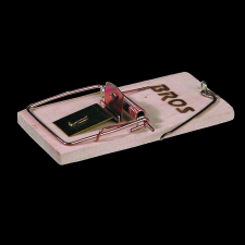 TTAKÁCS EGÉRFOGÓ FA 10X4,8X2 CM fogó