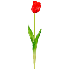  Tulipán szálas gumi piros M45cm 48db/# dekorációs kellék