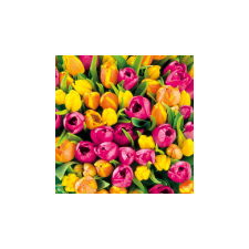 Tulips papírszalvéta 33x33cm, 20db-os papírárú, csomagoló és tárolóeszköz