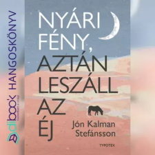 Typotex Nyári fény, aztán leszáll az éj egyéb e-könyv