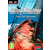 UIG Entertainment Sailing Simulator Baltic Sea (PC)