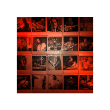 Universal Music Chris Cornell - No One Sings Like You Anymore (Cd) alternatív