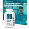 USA Medical Refluxo Herbals kapszula 90 db