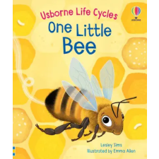 USBORNE BOOKS One Little Bee – Emma Allen (Leporelló) idegen nyelvű könyv