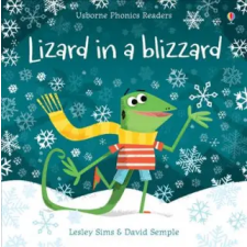 Usborne Publishing Ltd Lizard in a Blizzard | Lesley Sims egyéb könyv