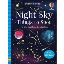 Usborne Publishing Ltd Night Sky Things to Spot | SAM SMITH egyéb könyv