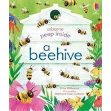 Usborne Publishing Ltd Peep Inside a Beehive | Anna Milbourne egyéb könyv
