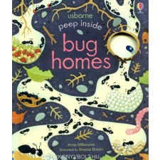 Usborne Publishing Ltd Peep Inside Bug Homes egyéb könyv