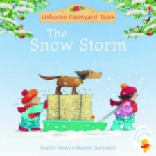 Usborne Publishing Ltd Snow Storm | Heather Amery egyéb könyv