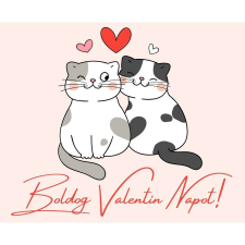  Üzenőkártya a átírható felirattal, több méretben, Love cat party kellék