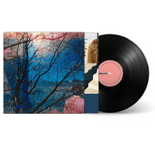 V2 RECORDS Idlewild - (High Quality) (Vinyl LP (nagylemez)) alternatív