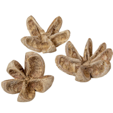  Vad narancs szárított havas fehér 14db-os dekorációs kellék