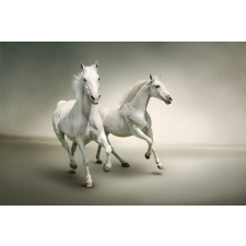  Vágtató fehér lovak tapéta, 350 x 200 cm tapéta, díszléc és más dekoráció