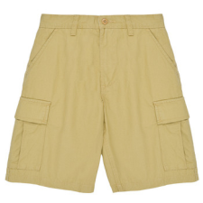 Vans Rövidnadrágok SERVICE CARGO SHORT Bézs US 26 gyerek nadrág
