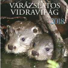  - VARÁZSLATOS VIDRAVILÁG - NAPTÁR 2018 naptár, kalendárium