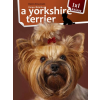 Varga Monika - A yorkshire terrier