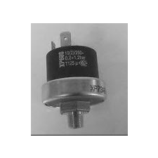  Vasalóba nyomókapcsoló XP110 (4.0 Bar) kisháztartási gépek kiegészítői