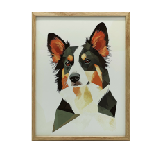  VÁSZON FESTMÉNY ARNYOS BORDER COLLIE KERET NÉLKÜL PREMIUM VÁSZON 30x40 grafika, keretezett kép